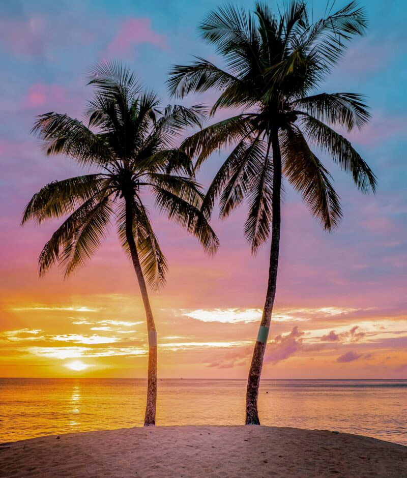Guyana's Atlantic Edge