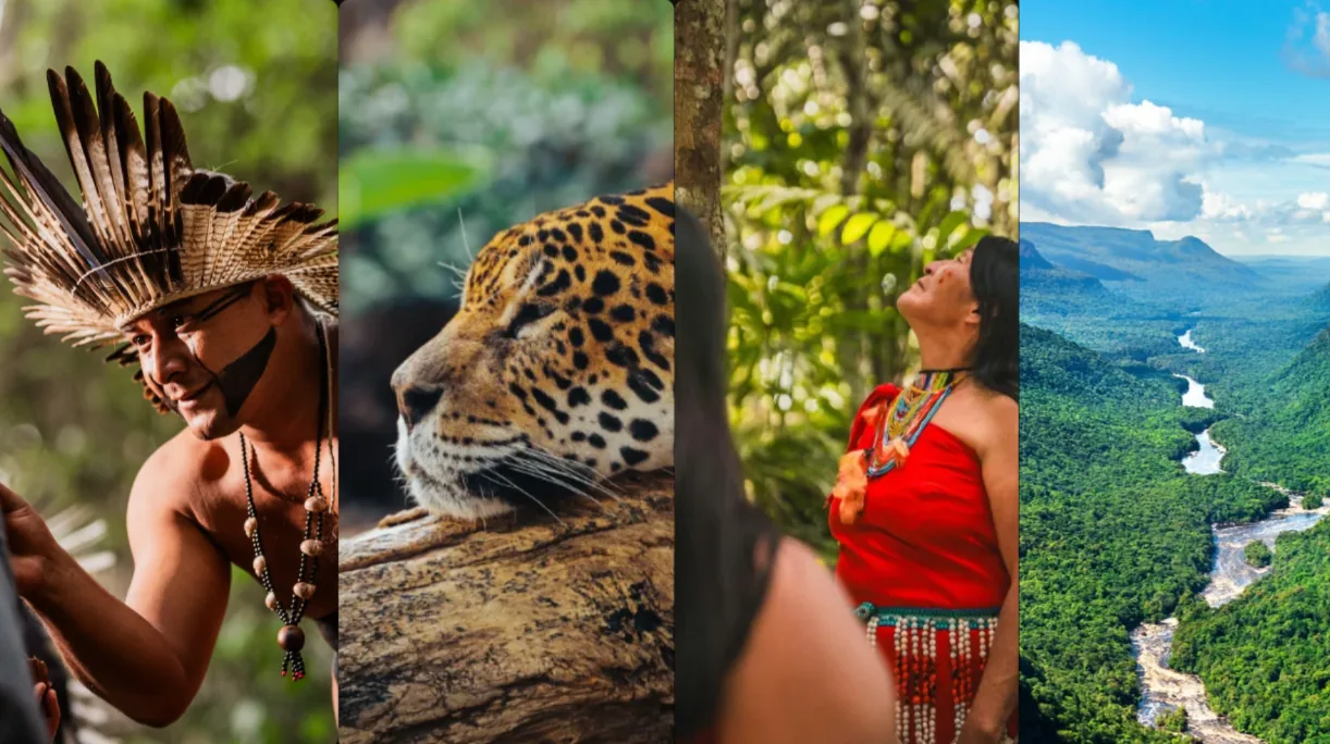 Peoples of the Rainforest