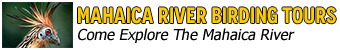Mahaica River Birding Tours