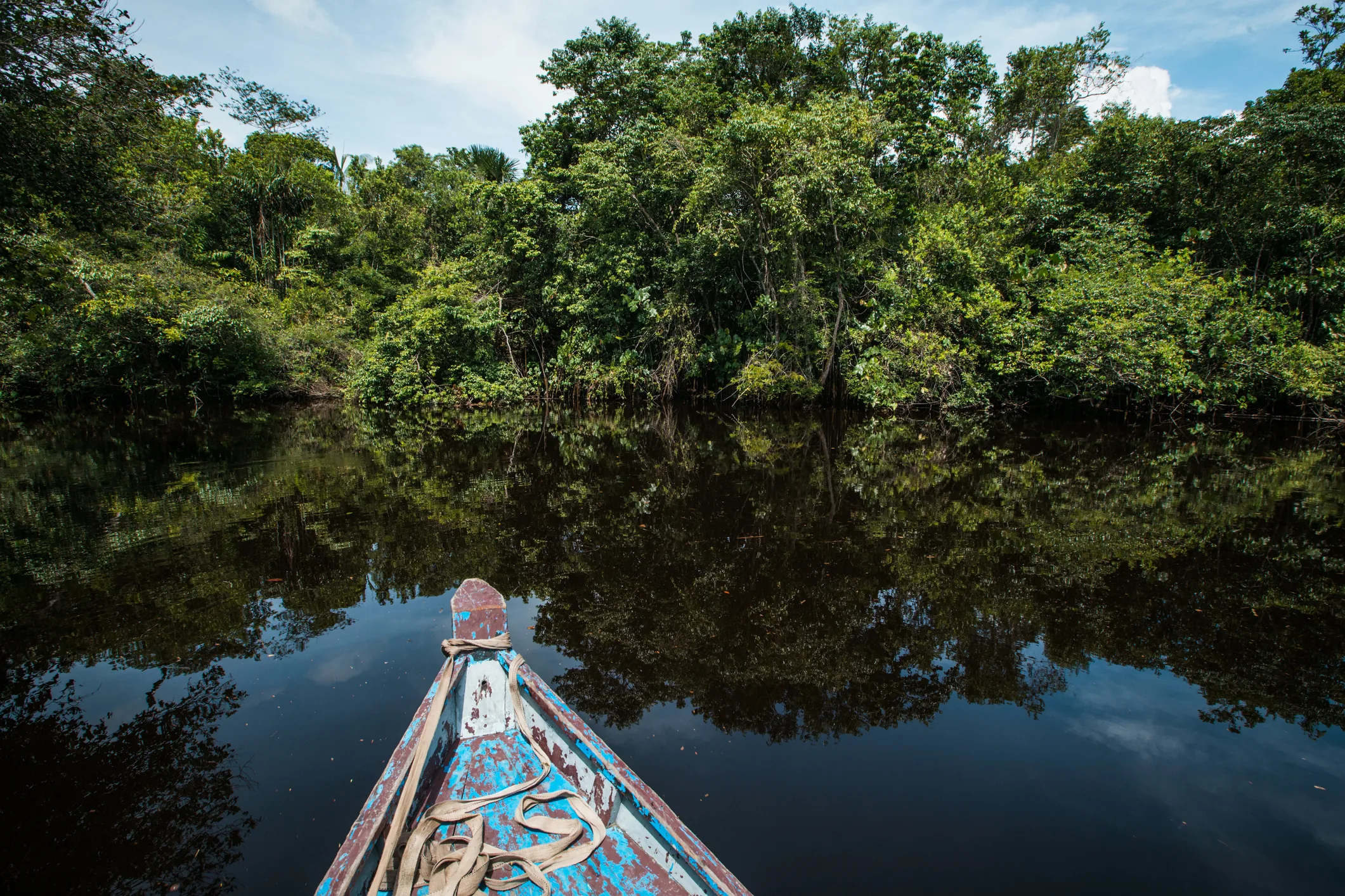 By Dugout Canoe
