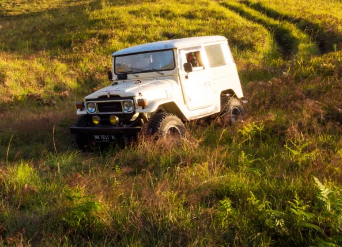 Into the Savannah