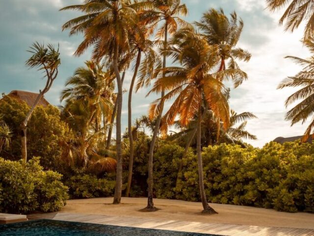 Rejuvenate in Paradise