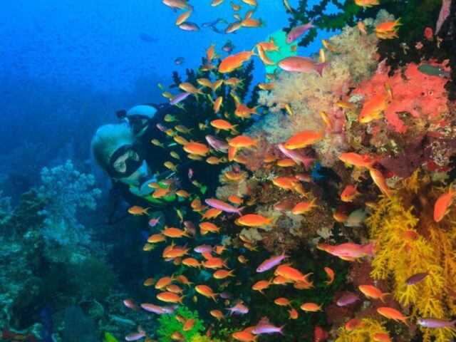 Explore Pristine Shores