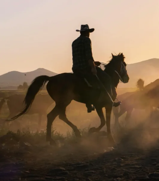 Rupununi Vaquero